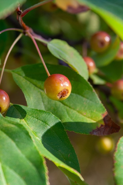 团队的支持 团队的支持