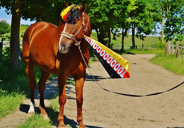 作的形式 作的形式