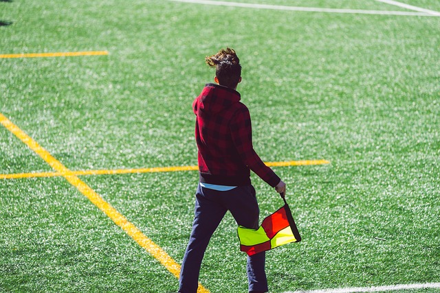 視為巴薩復 視為巴薩復