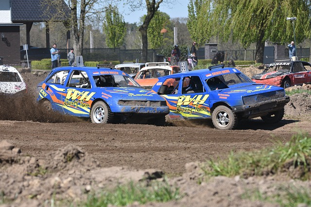 新西兰与澳 新西兰与澳