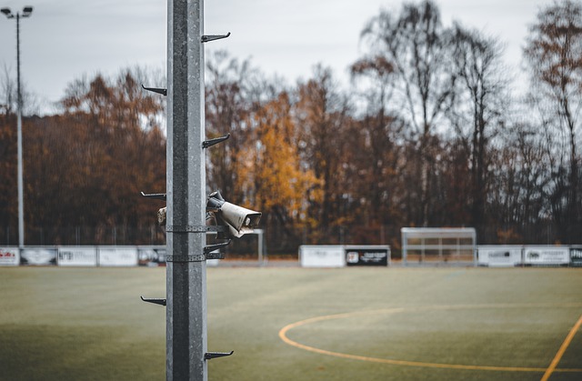 这种心态的 这种心态的